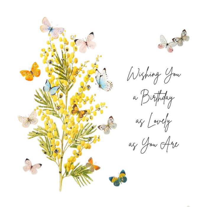 Five Dollar Shake - MIMOSA MOON - A Birthday As Lovely As You